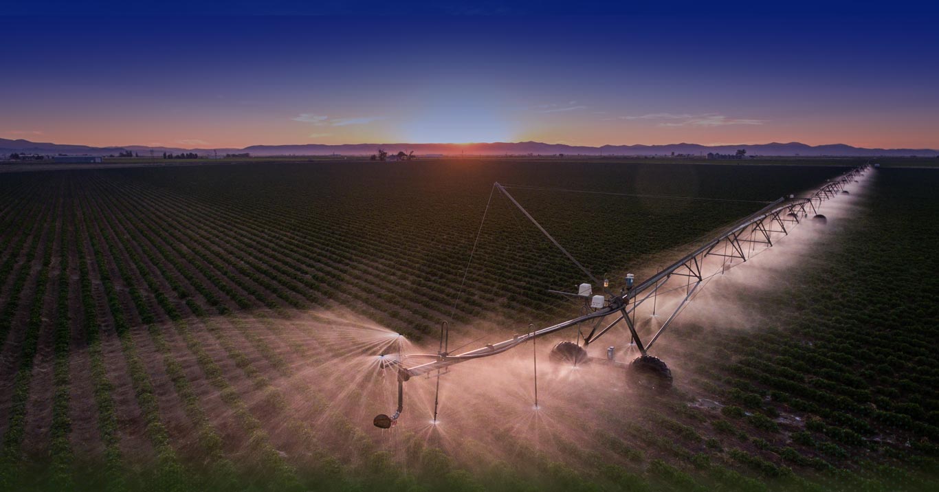 Search Local Colorado Products Colorado Proud